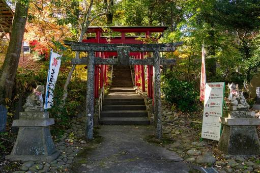 斗瑩稲荷神社⑸ 神社,斗瑩稲荷神社,とっけさまの写真素材