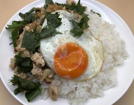 ガパオライス 男飯 ガパオライス 男飯 ガパオ,ライス,アジアの写真素材