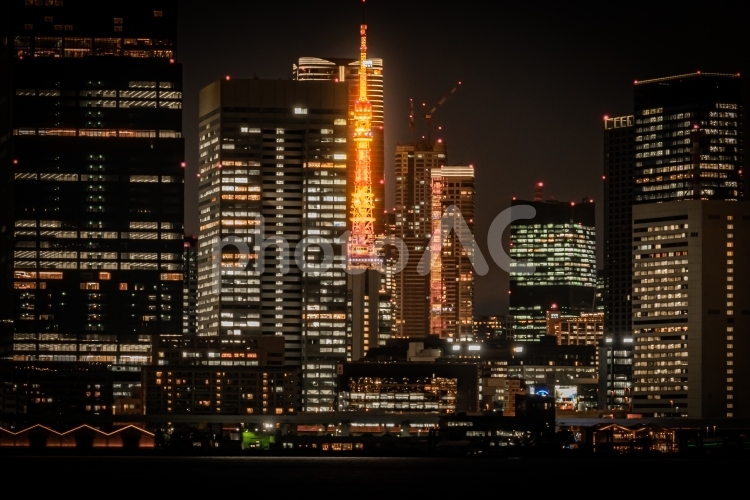 東京　夜の豊洲ぐるり公園の風景 東京,東京都,お台場の写真素材
