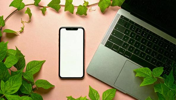 スマートフォンとノートパソコン アイビー スマートフォンとノートパソコン アイビーの写真