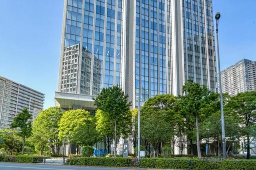 街路樹の緑も鮮やかな東京豊洲の美しい街 街路樹の緑も鮮やかな東京豊洲の美しい街 街並み,上質,おしゃれの写真素材