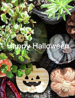 楽しいハッピーハロウィン③ 楽しいハッピーハロウィン③の写真