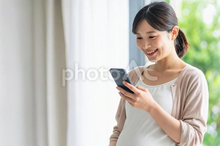 スマホを操作する若い日本人の妊婦 女性,妊婦,マタニティの写真素材