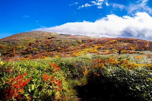 栗駒山 笠雲と紅葉の道 栗駒山 笠雲と紅葉の道 秋,紅葉,黄葉の写真素材