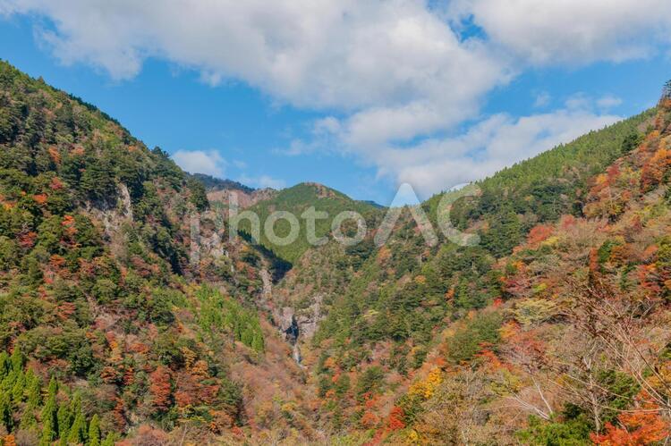 大荒の滝と紅葉 秋,紅葉,滝の写真素材