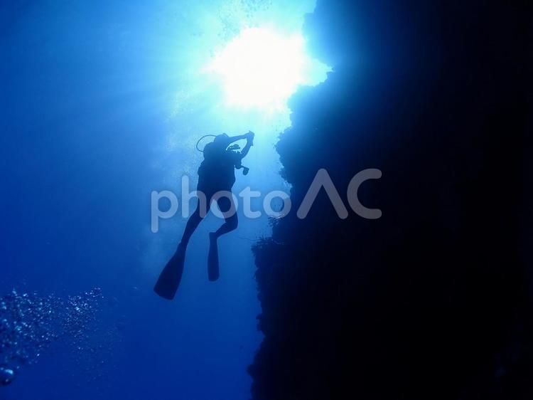 沖縄・石垣島海底をダイブする 沖縄,石垣島,スキューバダイビングの写真素材