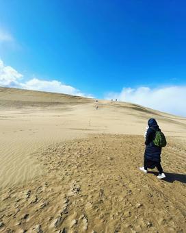 砂漠 砂漠 砂漠,風景,自然の写真素材