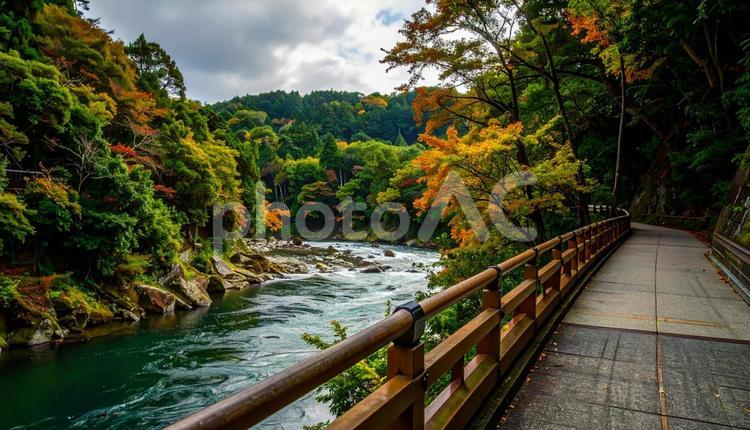 川にかかる橋の欄干 河,街並み,欄干の写真素材