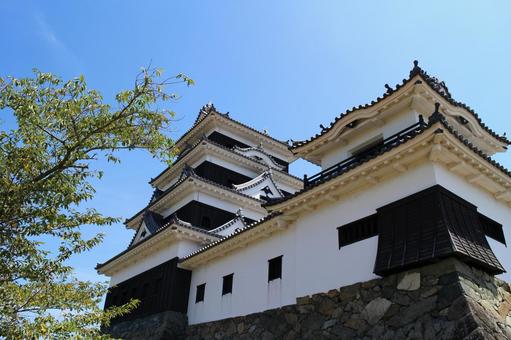 大洲城1 大洲城1 大洲城,城址,木造復元天守の写真素材