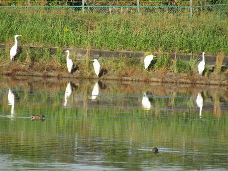 サ 自然,風景,景色の写真素材