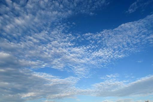 青空に秋の雲 青空に秋の雲の写真
