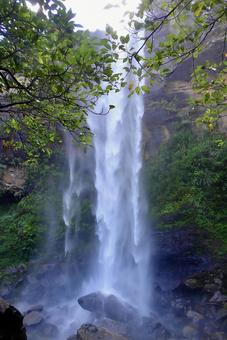 西表島ピナイサーラの滝 西表島,滝,沖縄の写真素材