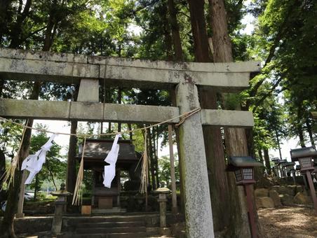 諏訪大社 諏訪大社,神社,諏訪湖の写真素材