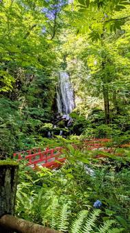 岩手県 不動の滝 岩手県 不動の滝の写真