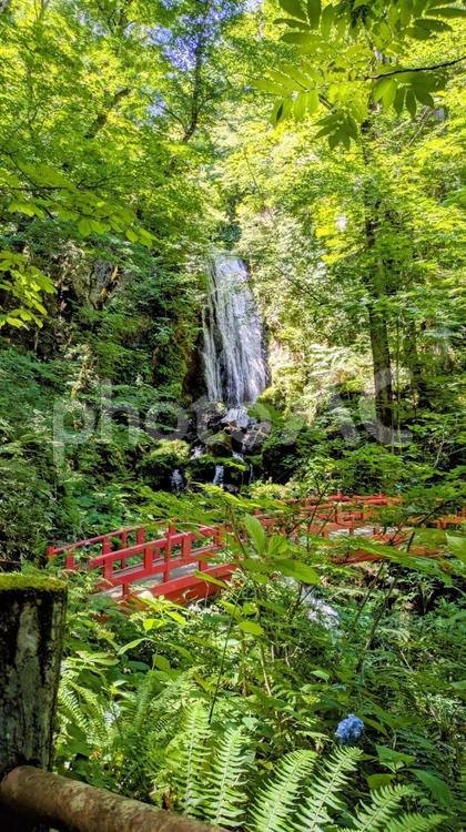 岩手県　不動の滝 自然,マイナスイオン,風景の写真素材