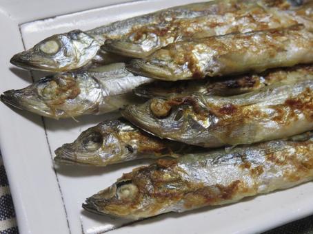 Shishamo, JPG Shishamo, JPG