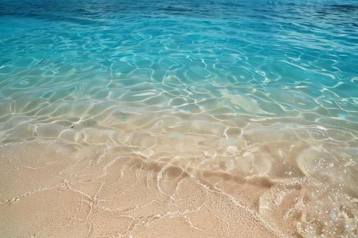透き通る南国の海 透き通る南国の海の写真