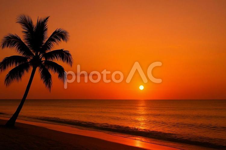 南国ビーチの夕日とヤシの木・サンセット サンセット,南国,夕日の写真素材