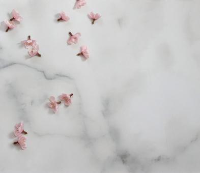 さくら さくら 桜,背景,さくらの写真素材