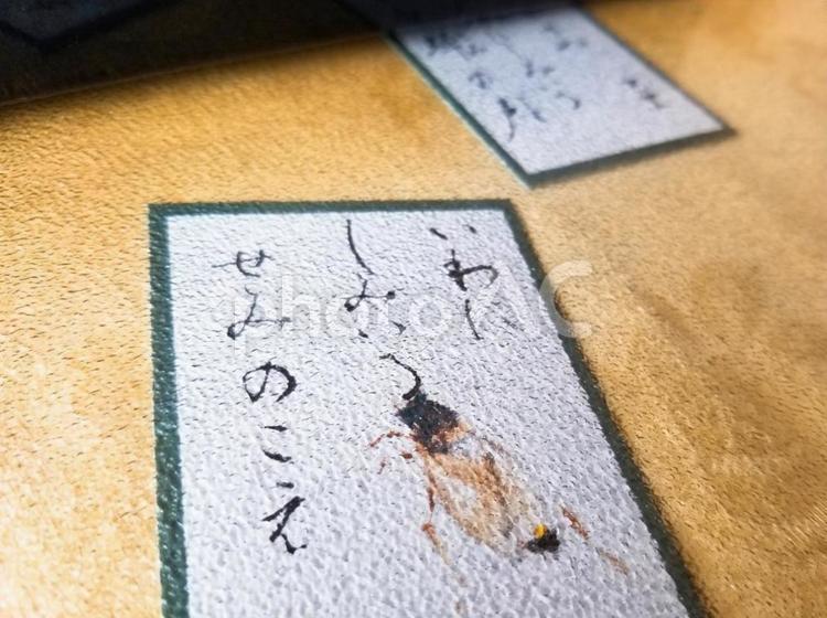 和紙かるたの背景 和紙,かるた,背景の写真素材
