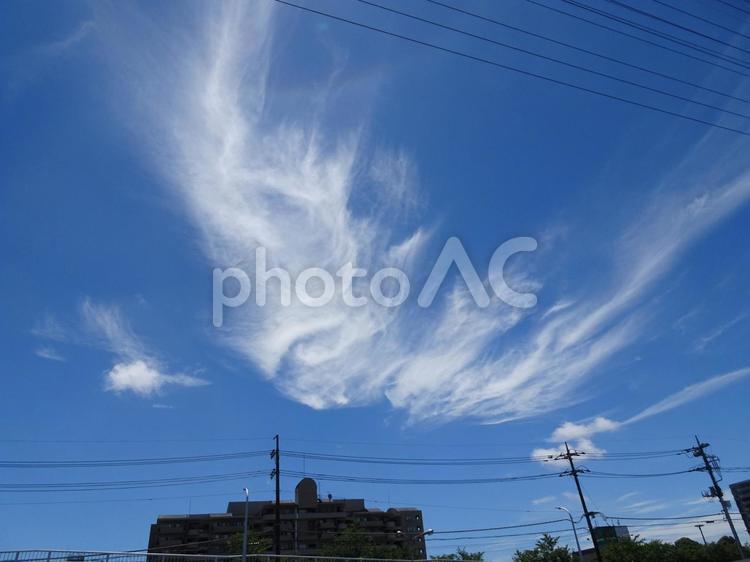 七月の雲-31 七月の雲,青空,空の写真素材