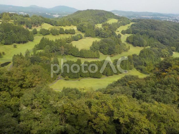 上から見た森林 風景,木,自然の写真素材