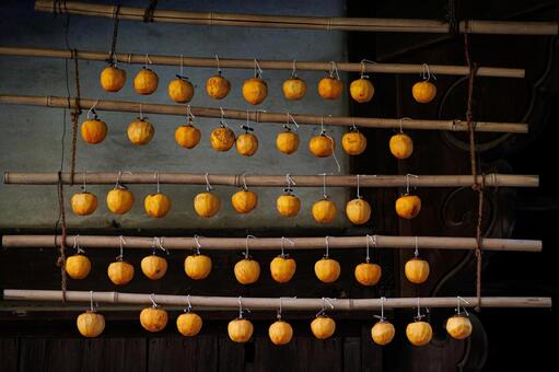 柿 あんぽ柿,干し柿,柿の写真素材