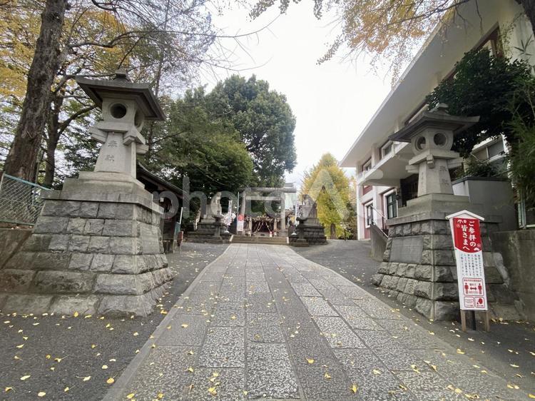 新宿諏訪神社 諏訪神社,東京,新宿の写真素材