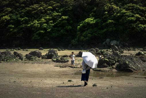 <素材>大潮で引いた磯を散策する親子 <素材>大潮で引いた磯を散策する親子 家族,親子,女性の写真素材