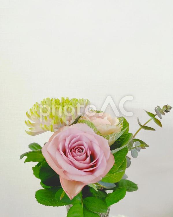 バラと菊と葉牡丹とユーカリ 花束,生花,切り花の写真素材