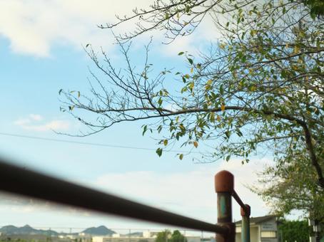 公園の遊具と秋の気配 Ptn.B 公園の遊具と秋の気配 Ptn.B 公園,遊具,鉄棒の写真素材