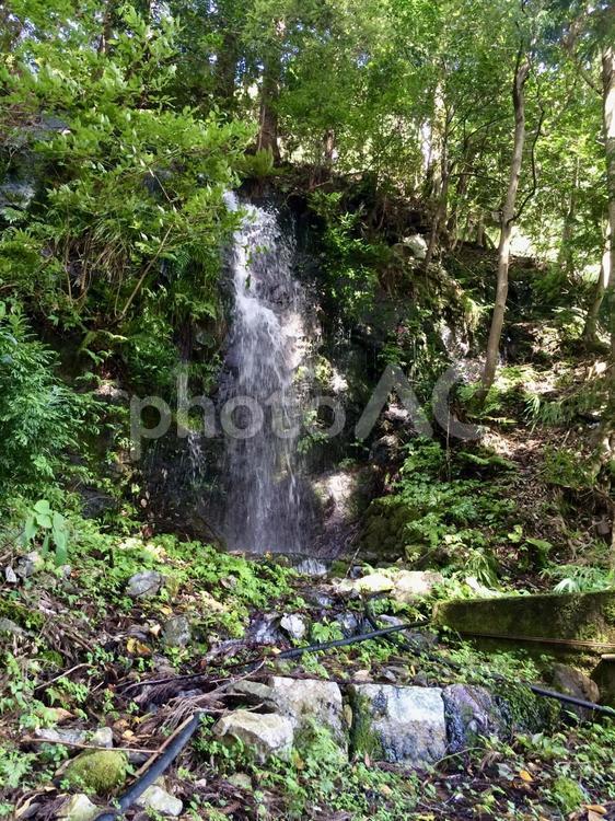 静かに流れる水の音と神秘的な滝の風景 滝,小さな滝,森の写真素材