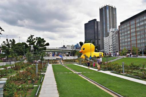休日の中之島公園の風景 休日の中之島公園の風景の写真