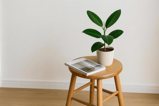 スツールに置かれた観葉植物と雑誌 スツールに置かれた観葉植物と雑誌の写真