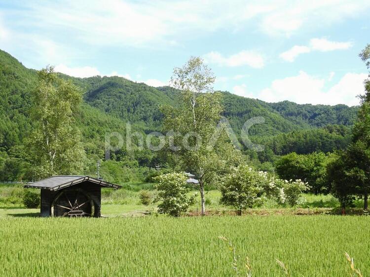 長野県木曽の風景 風景,農業（商業企業）,自然の写真素材