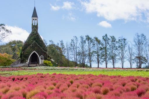 教会のある風景 教会のある風景 コキア,赤,教会の写真素材