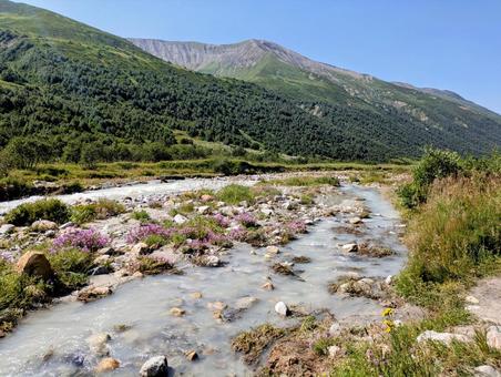 シュハラ氷河トレッキングコース シュハラ氷河,氷河,雪山の写真素材