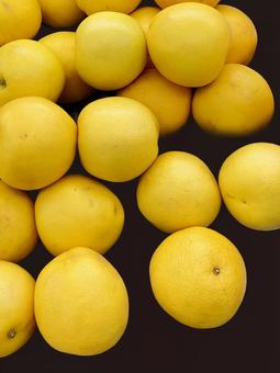 果物・グレープフルーツ グレープフルーツ,柑橘,丸いの写真素材