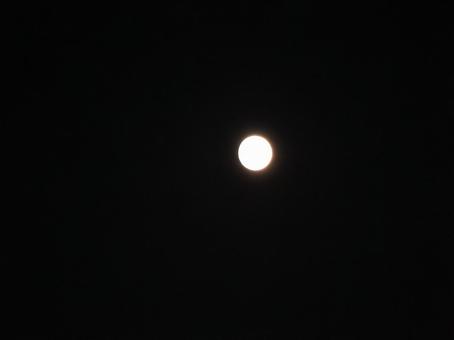 Moonlit Night, JPG