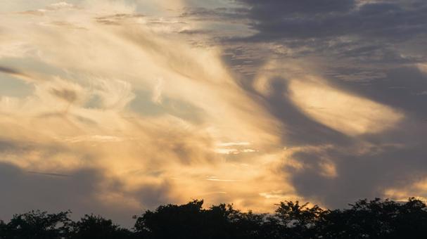 夏の早朝の雲 夏の早朝の雲の写真