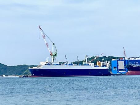 造船所 造船所 船,海,造船の写真素材