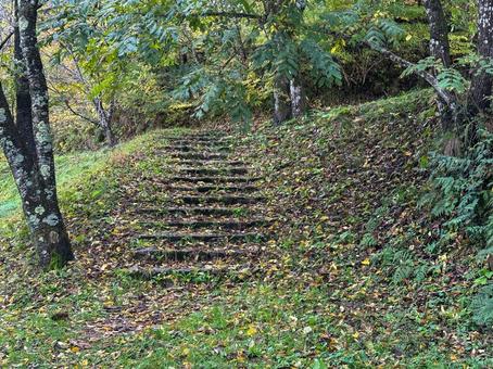 のぼる道 のぼる道 自然,木,山の写真素材