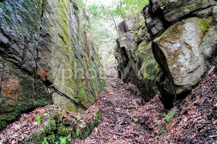 奥出雲の天然記念物「岩屋寺の切開」 島根,奥出雲,国指定の写真素材