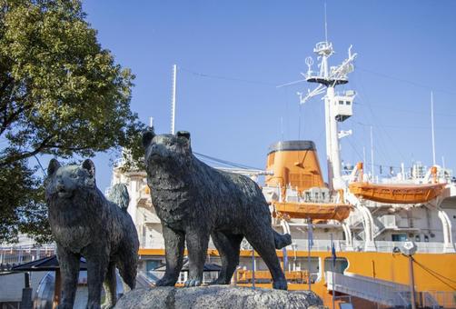 タロ・ジロの像 タロ・ジロの像,タロとジロ,ガーデンふ頭の写真素材