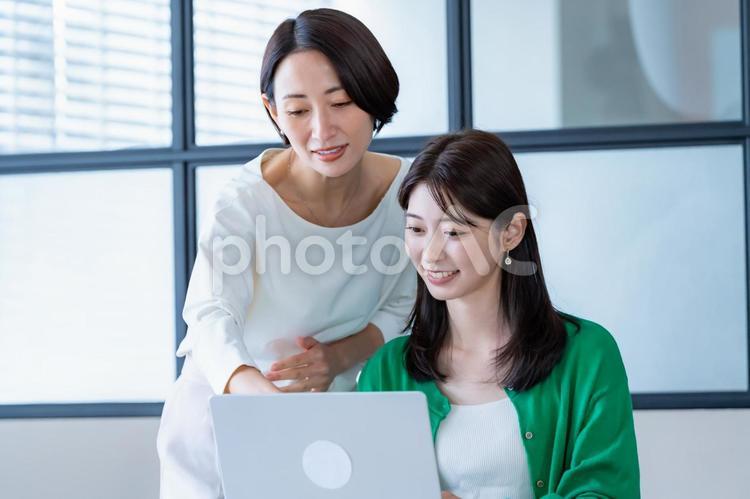 窓のある部屋でパソコンを見る女性二人 会議,教える,女性の写真素材