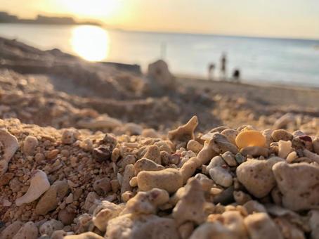 Sandy Beach, JPG