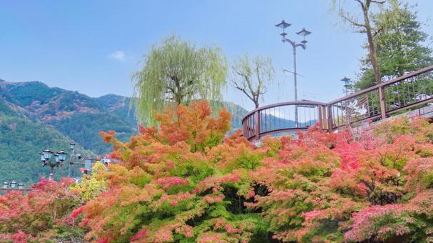 下呂温泉　川沿いから見上げる紅葉 下呂温泉,飛騨,秋の写真素材
