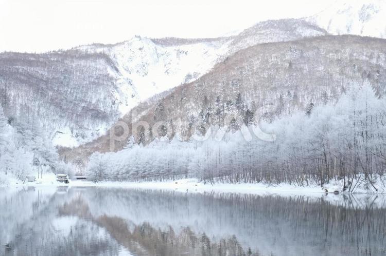冬の雄大な自然風景 冬,雪,雪山の写真素材