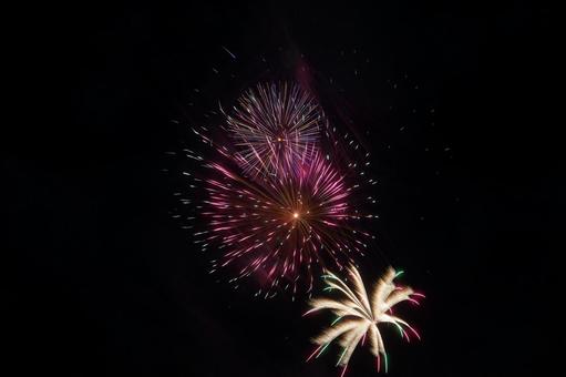 夏の夜空を彩る花火 夏の夜空を彩る花火 花火,夏,夜空の写真素材