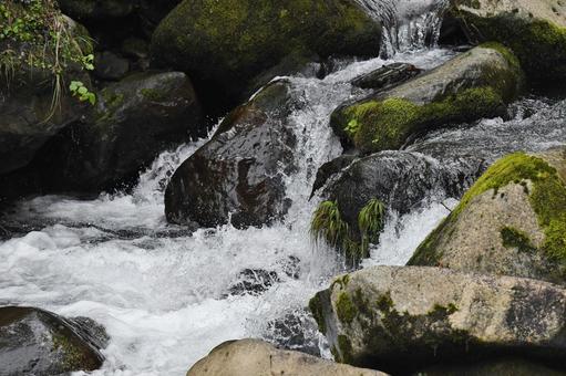 勢いよく流れる清流 清流,渓流,勢いの写真素材